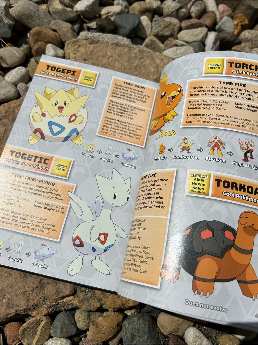 Pokémon Super Deluxe Essential Handbook - Picture 13 of 13